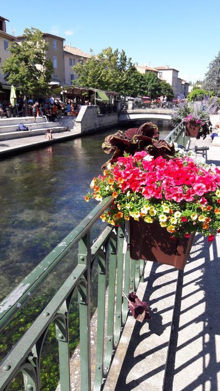 Appart Ensoleille Proche Remparts Avignon Bagian luar foto